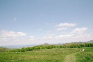Max Patch view