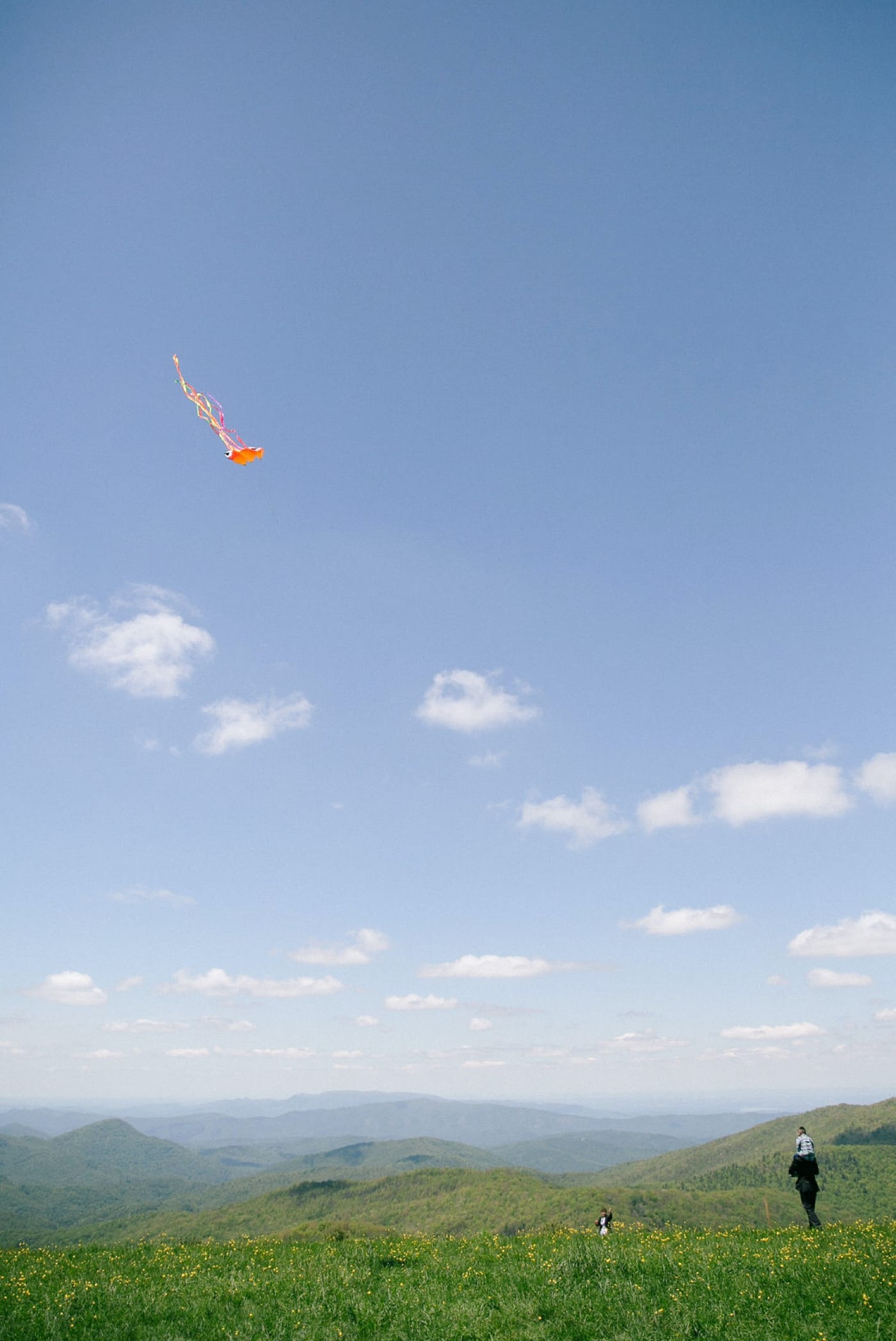 Flying a kite on Max Patch