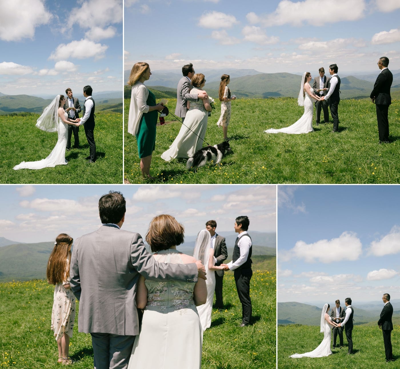 Max Patch intimate wedding